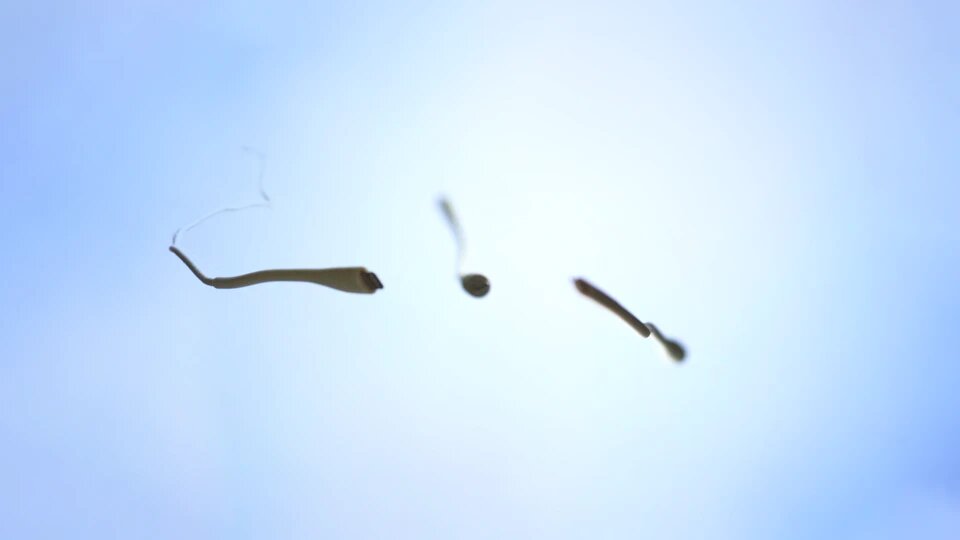 Cable dangle animation