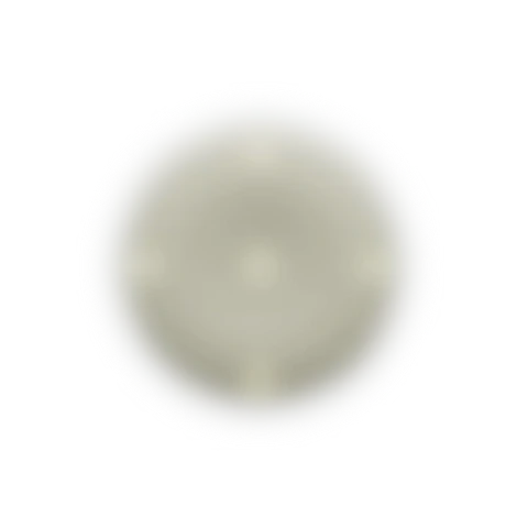 Stem 2